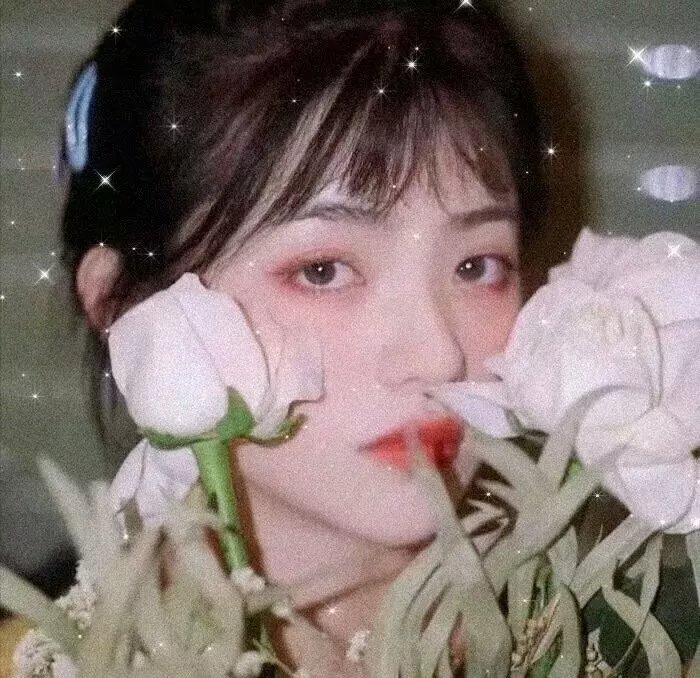 血斗淑女